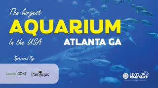 The largest aquarium in the USA | Yiddish