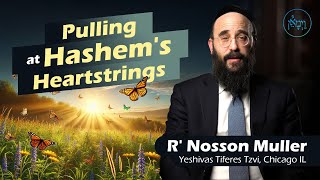 Pulling at Hashem's Heartstrings | Rabbi Nosson Muller