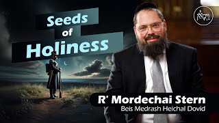 Seeds of Holiness | Rabbi Mordechai Stern