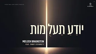 Yodeah Ta’alumos – Meilech Braunstein feat. Yanky Steinmetz | יודע תעלומות – מיילך ברוינשטיין
