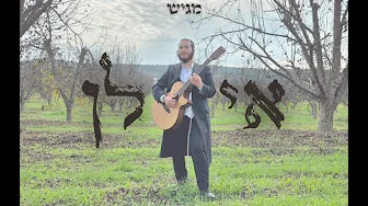 חיים מרדכי עקשטיין  – אילן | ilan –  Haim Mordechai Ekstein