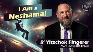 I Am a Neshama! | Rabbi Yitzchok Fingerer