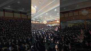 Tenoyim of Satmar Rebbe R’ Aaron’s Oldest Great Grandchild | תנאים של נכד האדמו”ר מסאטמאר שליט”א