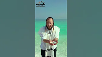 ים המלח פרק ג