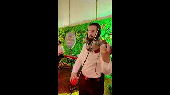 שרוליק לפקוביץ בריקודים סוערים בחתונה