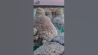 ים המלח פרק ג